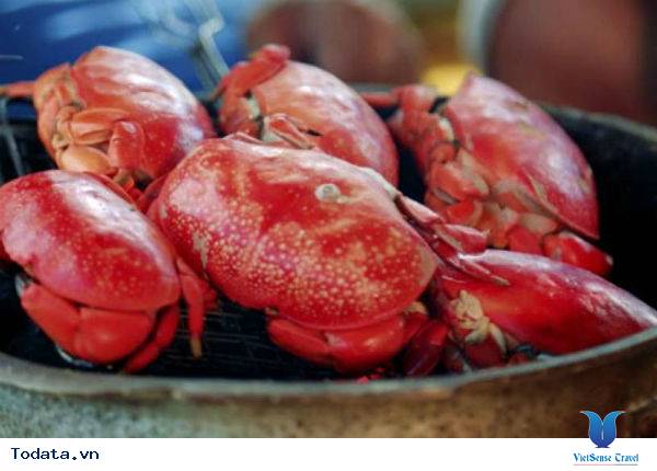 5 Loại Hải Sản Độc Đáo Ở Quan Lạn - Ảnh 8 5 Loại Hải Sản Độc Đáo Ở Quan Lạn - Ảnh 8