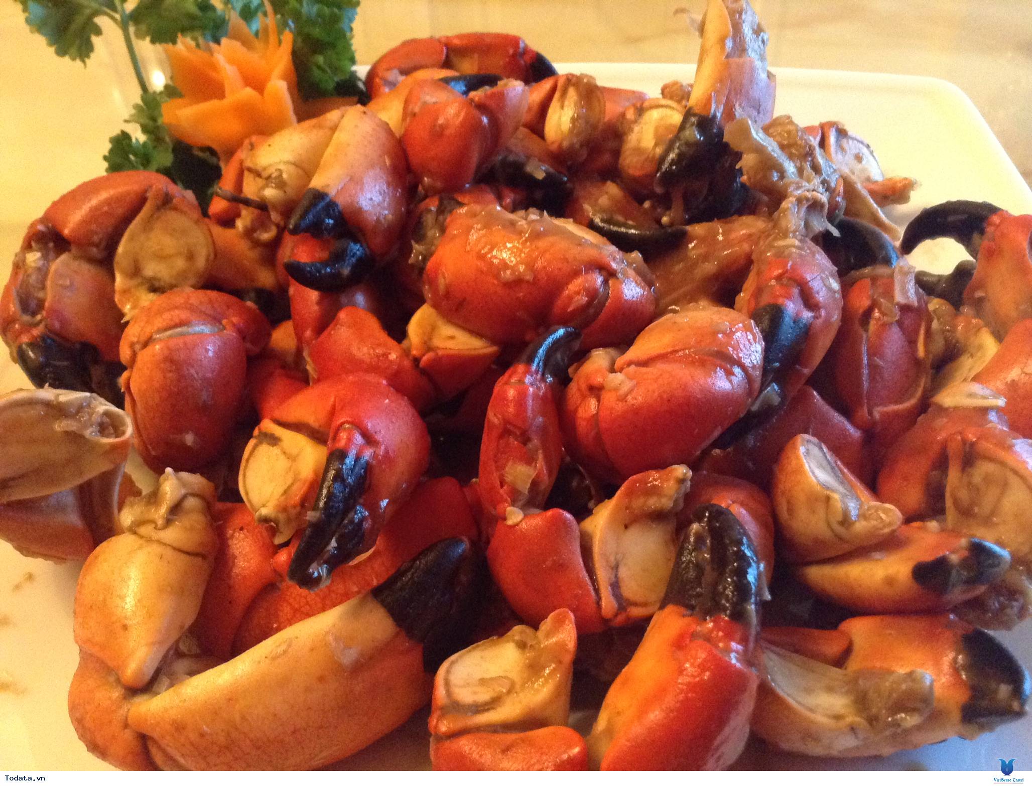 5 Loại Hải Sản Độc Đáo Ở Quan Lạn - Ảnh 7 5 Loại Hải Sản Độc Đáo Ở Quan Lạn - Ảnh 7