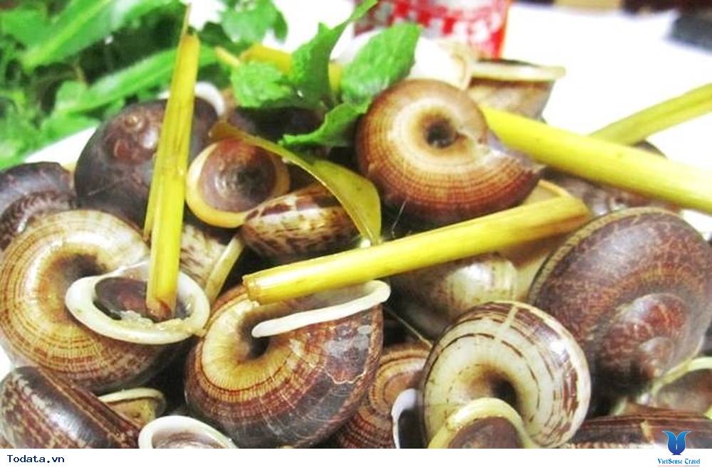 7 Đặc Sản Ninh Bình Ngon Khó Cưỡng - Ảnh 7