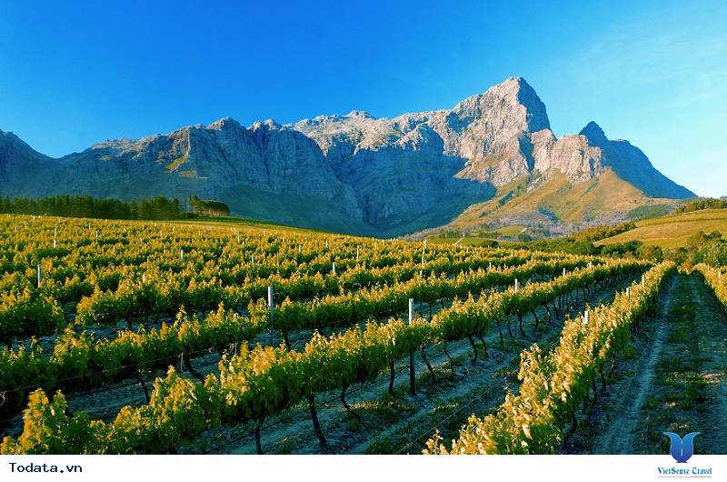 7 Lý Do Khiến Bạn Muốn Lên Lịch Hẹn Với Nam Phi Ngay Hè Này - Ảnh 5