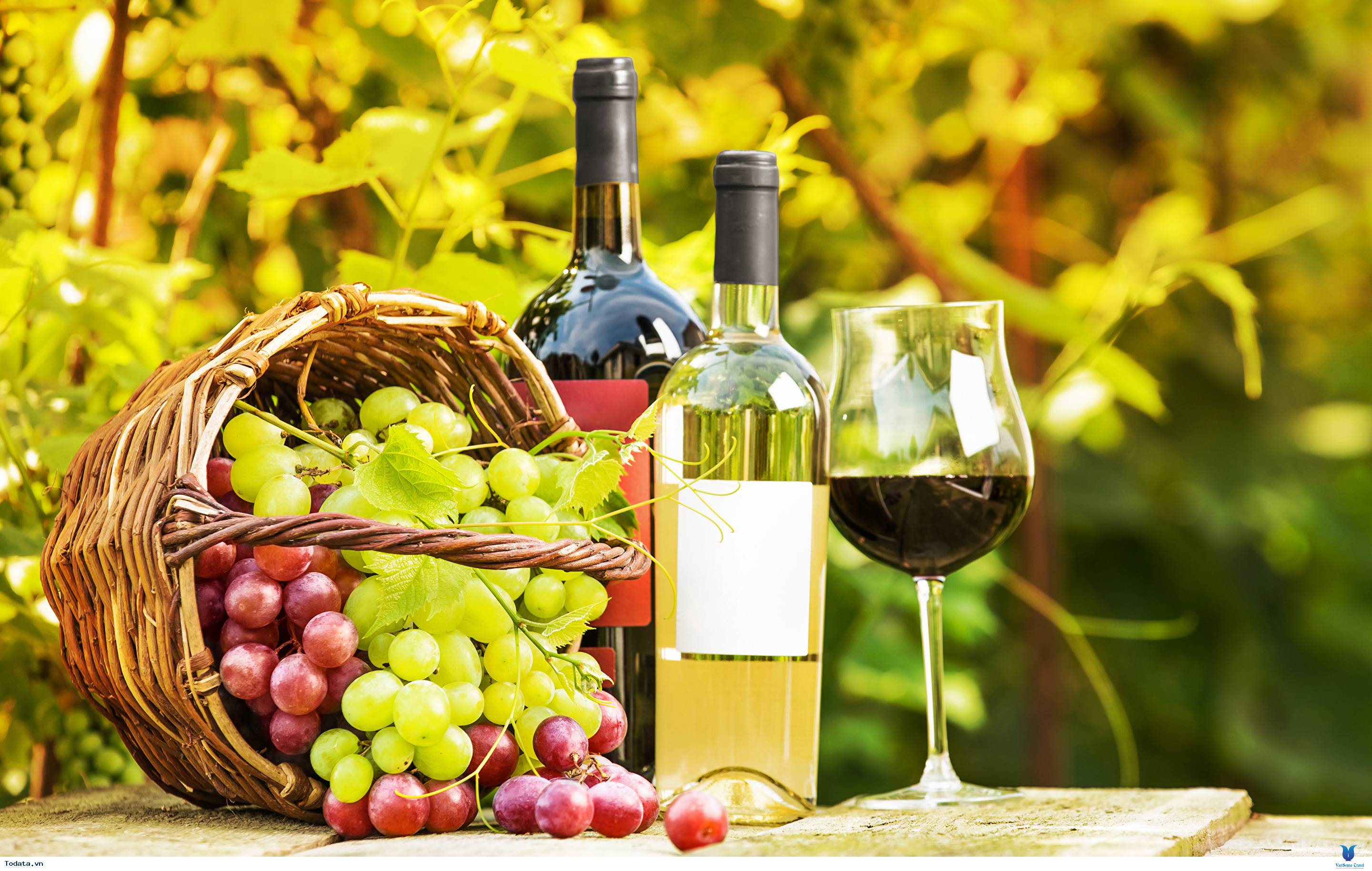 7 Lý Do Khiến Bạn Muốn Lên Lịch Hẹn Với Nam Phi Ngay Hè Này - Ảnh 6