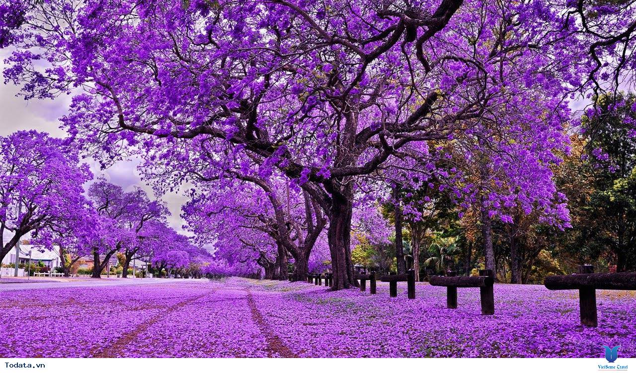 7 Lý Do Khiến Bạn Muốn Lên Lịch Hẹn Với Nam Phi Ngay Hè Này - Ảnh 3