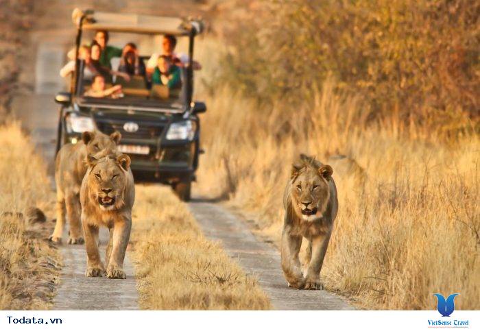 7 Lý Do Khiến Bạn Muốn Lên Lịch Hẹn Với Nam Phi Ngay Hè Này - Ảnh 1