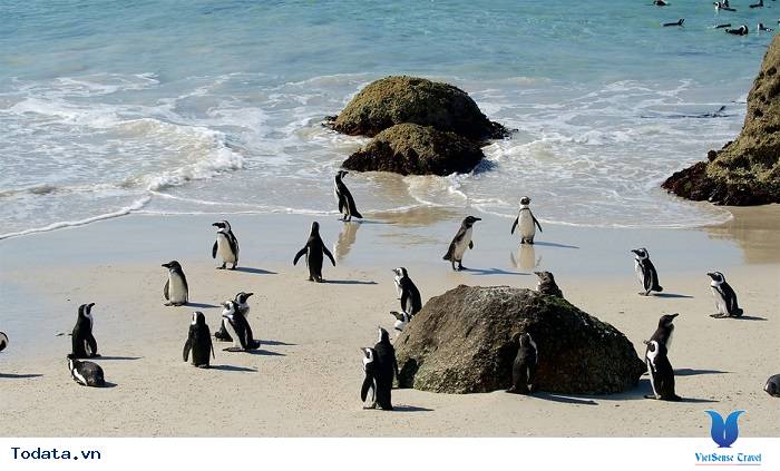 7 Lý Do Khiến Bạn Muốn Lên Lịch Hẹn Với Nam Phi Ngay Hè Này - Ảnh 7