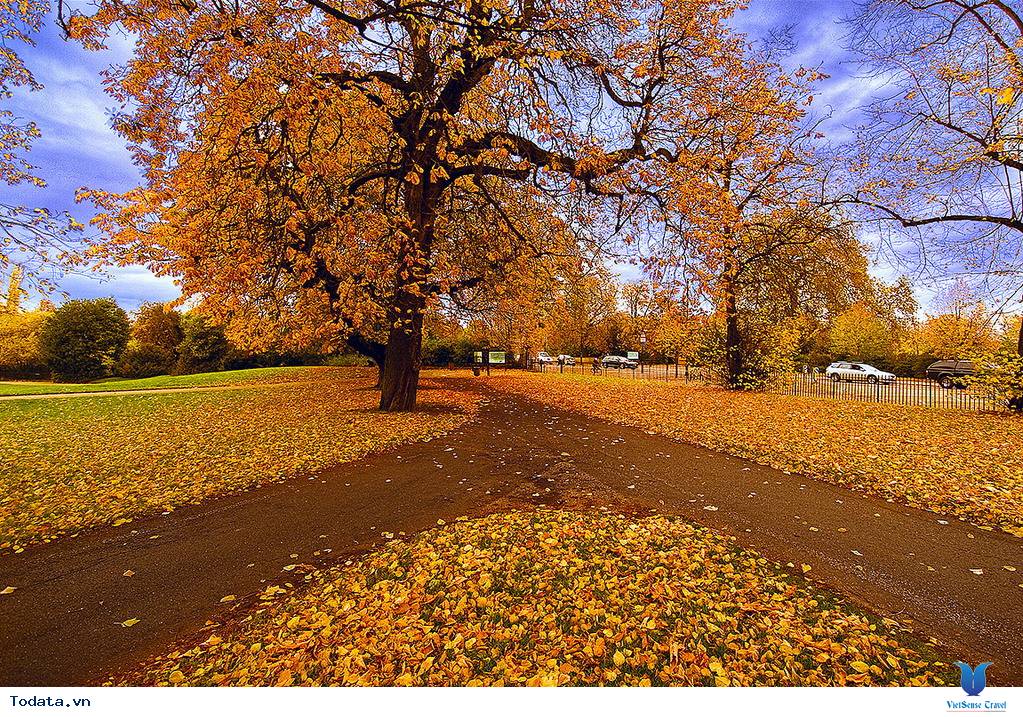 8 thành phố đẹp long lanh vào mùa thu ở Châu Âu - Ảnh 6