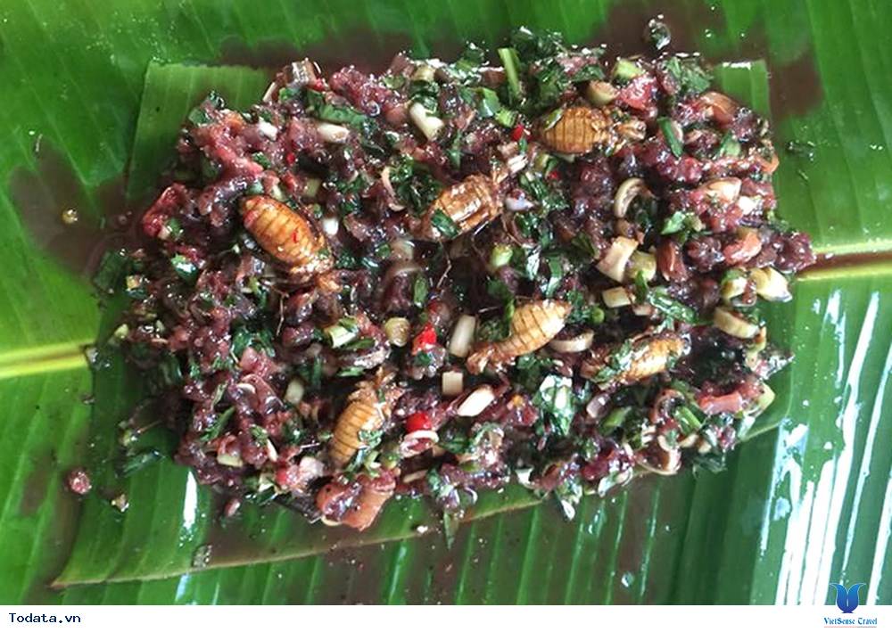 9 Đặc Sản Điện Biên Không Phải Ai Cũng Dám Thử - Ảnh 2 9 Đặc Sản Điện Biên Không Phải Ai Cũng Dám Thử - Ảnh 2