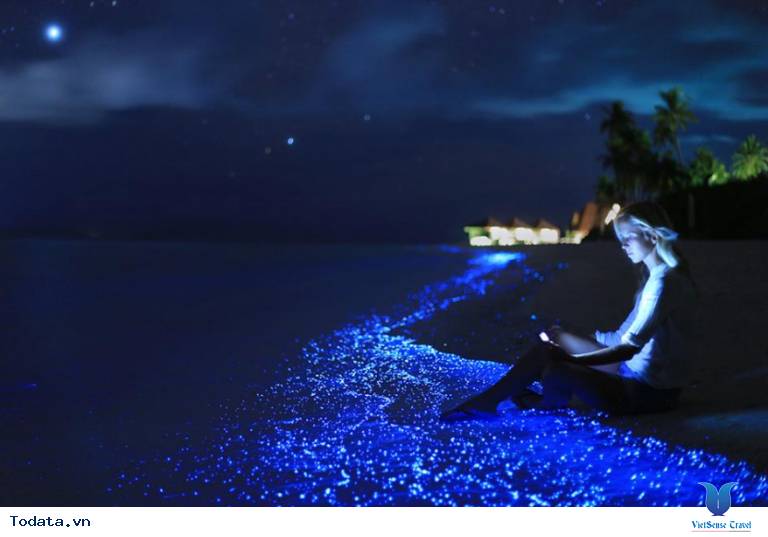 Bãi Biển Phát Sáng ảo diệu Tại Maldives có gì đẹp? - Ảnh 3