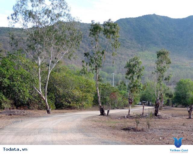Bãi Dài Nha Trang - Ảnh 7