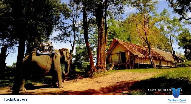 Bản Đôn - Điểm Đến Hút Khách Tại Buôn Ma Thuột - Ảnh 1