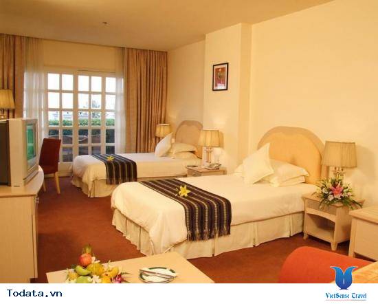 Bí Quyết Du Lịch Nha Trang A - Z Xuất Phát Từ Hà Nội - Ảnh 3