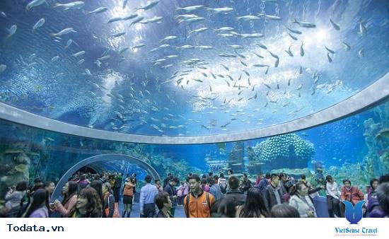 Bí Quyết Du Lịch Nha Trang A - Z Xuất Phát Từ Hà Nội - Ảnh 5