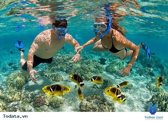 Bí Quyết Du Lịch Nha Trang A - Z Xuất Phát Từ Hà Nội - Ảnh 6