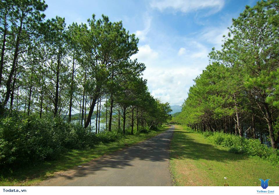 Biển Hồ - Mắt ngọc cao nguyên - Ảnh 3 Biển Hồ - Mắt ngọc cao nguyên - Ảnh 3