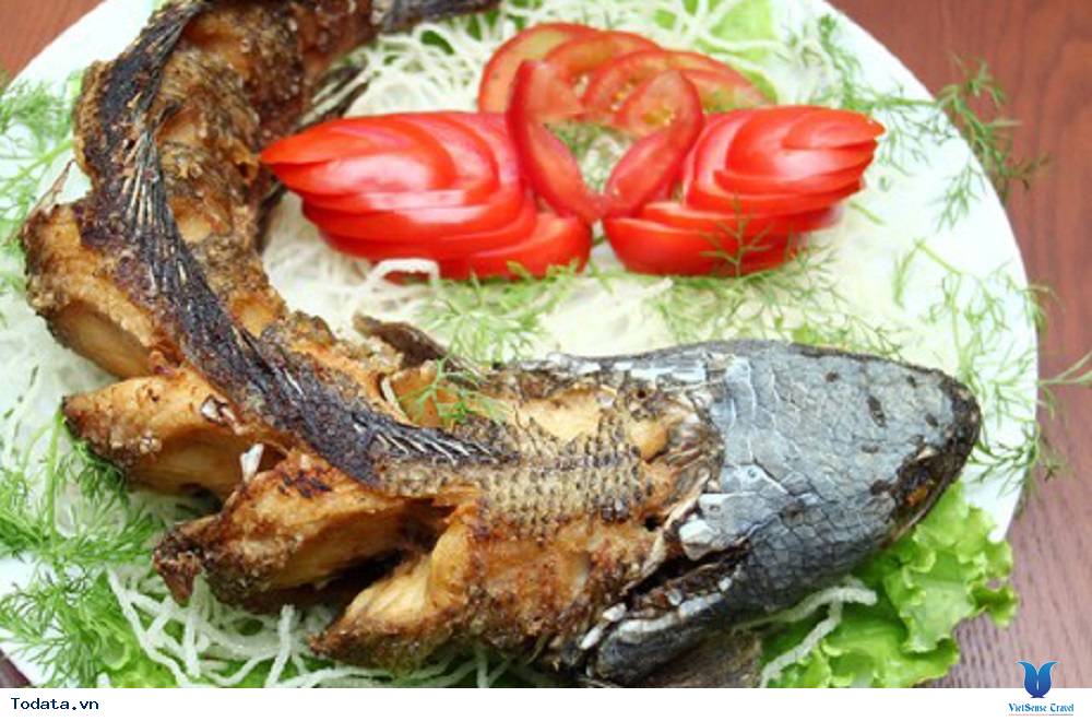 Cá tiến vua nổi tiếng của Tây Nguyên đại ngàn - Ảnh 3