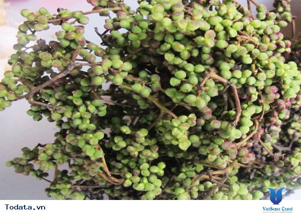 Cách Sử Dụng Mắc Khén- Gia Vị Đặc Trưng Của Núi Rừng Tây Bắc - Ảnh 13 Cách Sử Dụng Mắc Khén- Gia Vị Đặc Trưng Của Núi Rừng Tây Bắc - Ảnh 13