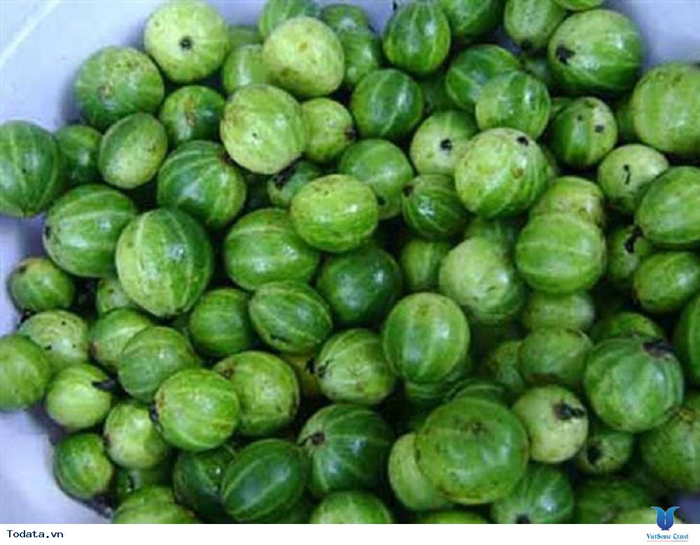 Canh cà đắng đặc sản Tây Nguyên - Ảnh 1 Canh cà đắng đặc sản Tây Nguyên - Ảnh 1