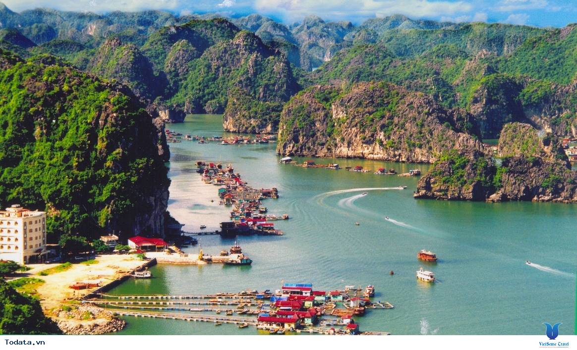 Cát Bà- Điểm Đến Không Thể Chối Từ - Ảnh 7