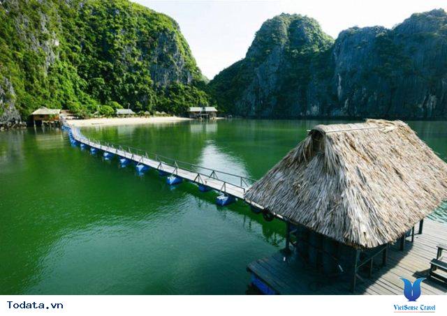 Cát Bà- Thảm Lụa Xanh Của Vịnh Bắc Bộ - Ảnh 5 Cát Bà- Thảm Lụa Xanh Của Vịnh Bắc Bộ - Ảnh 5