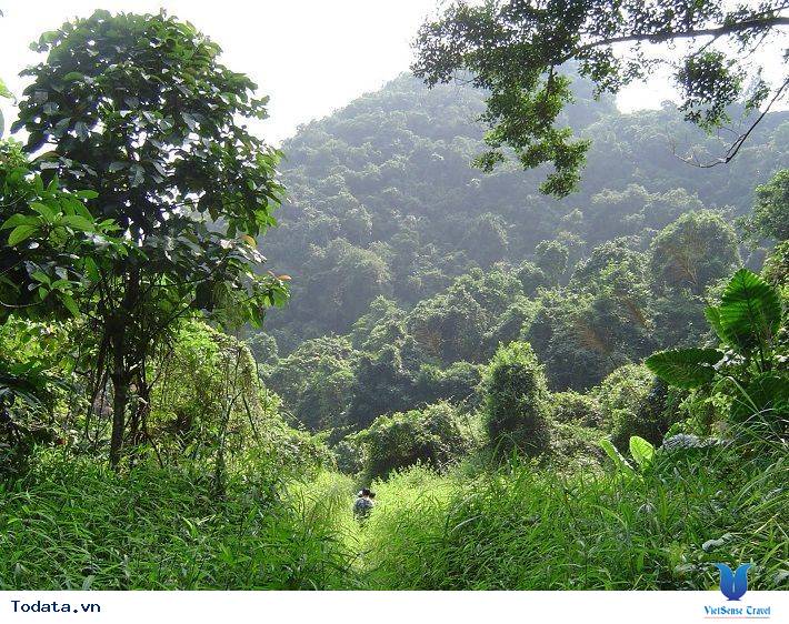 Check In Vườn Quốc Gia Cát Bà - Ảnh 1