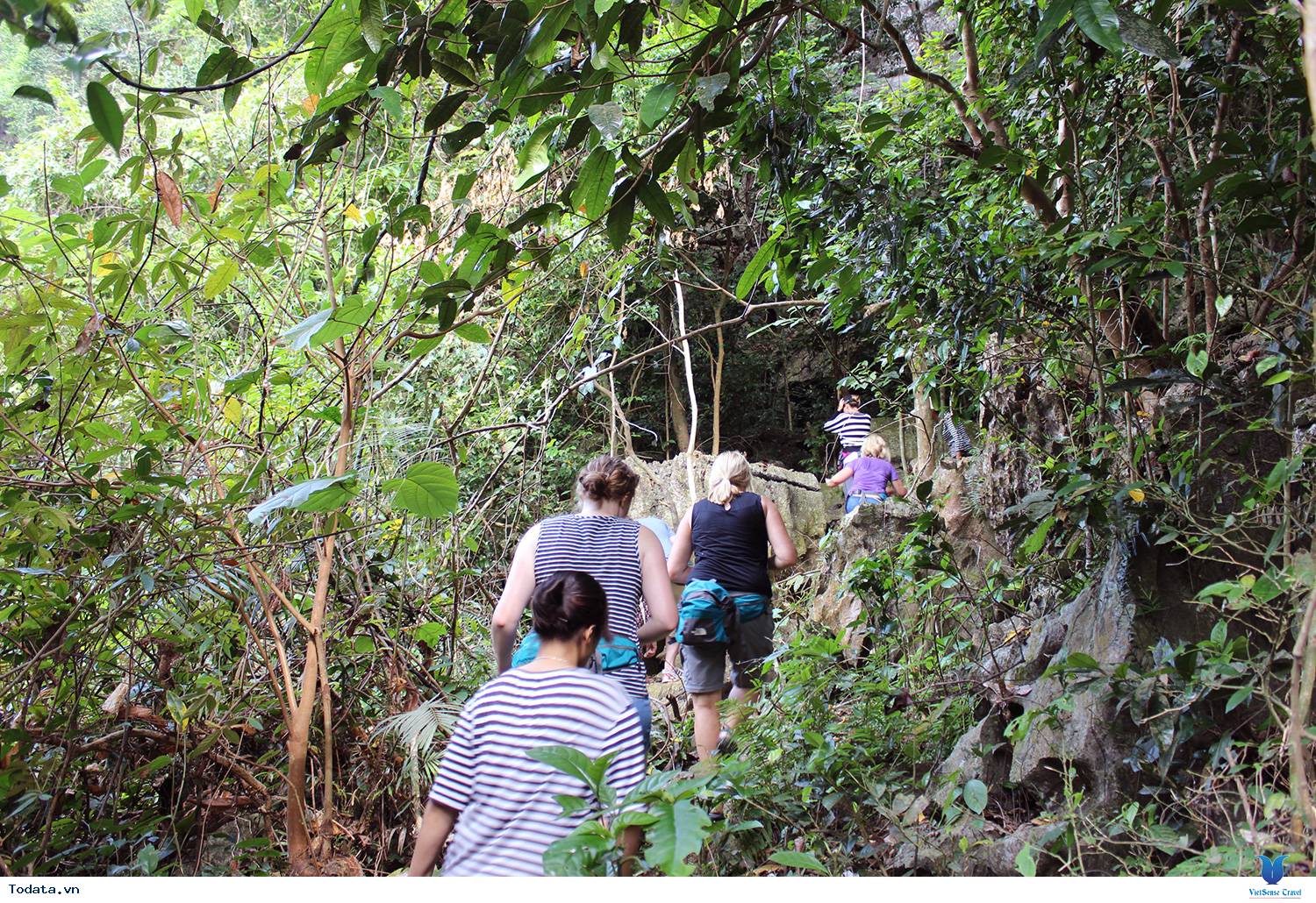 Check In Vườn Quốc Gia Cát Bà - Ảnh 3