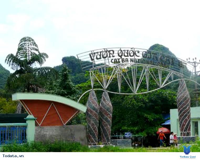 Check In Vườn Quốc Gia Cát Bà - Ảnh 6