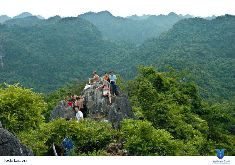 Check In Vườn Quốc Gia Cát Bà - Ảnh 5