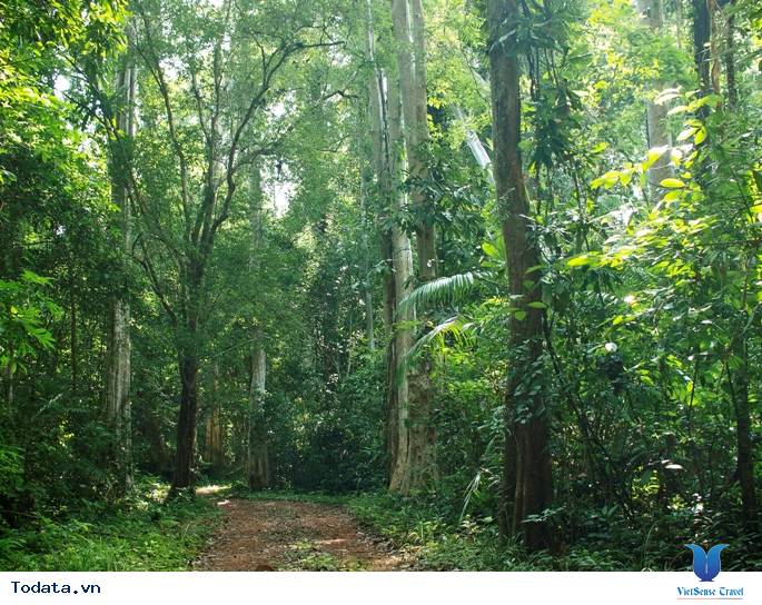 Check In Vườn Quốc Gia Cát Bà - Ảnh 4