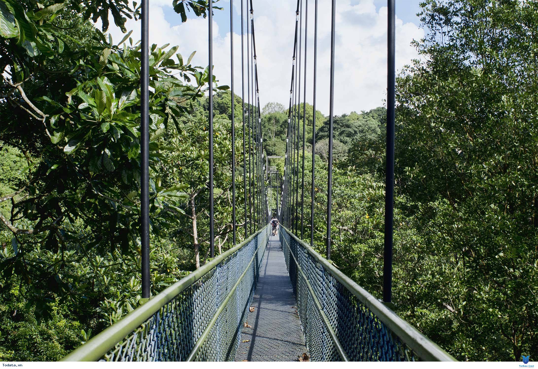 Chiêm Ngưỡng Những Điểm Đến Tuyệt Vời Không Mất Phí Tại Singapore - Ảnh 3 Chiêm Ngưỡng Những Điểm Đến Tuyệt Vời Không Mất Phí Tại Singapore - Ảnh 3