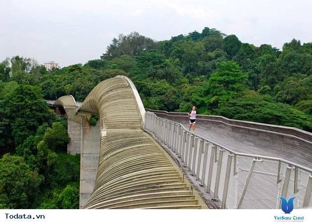Chiêm Ngưỡng Những Điểm Đến Tuyệt Vời Không Mất Phí Tại Singapore - Ảnh 5 Chiêm Ngưỡng Những Điểm Đến Tuyệt Vời Không Mất Phí Tại Singapore - Ảnh 5