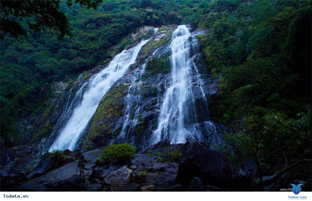 Chiêm ngưỡng Ốc Cửu đảo (đảo Yakushima) của Nhật Bản - Ảnh 2 Chiêm ngưỡng Ốc Cửu đảo (đảo Yakushima) của Nhật Bản - Ảnh 2
