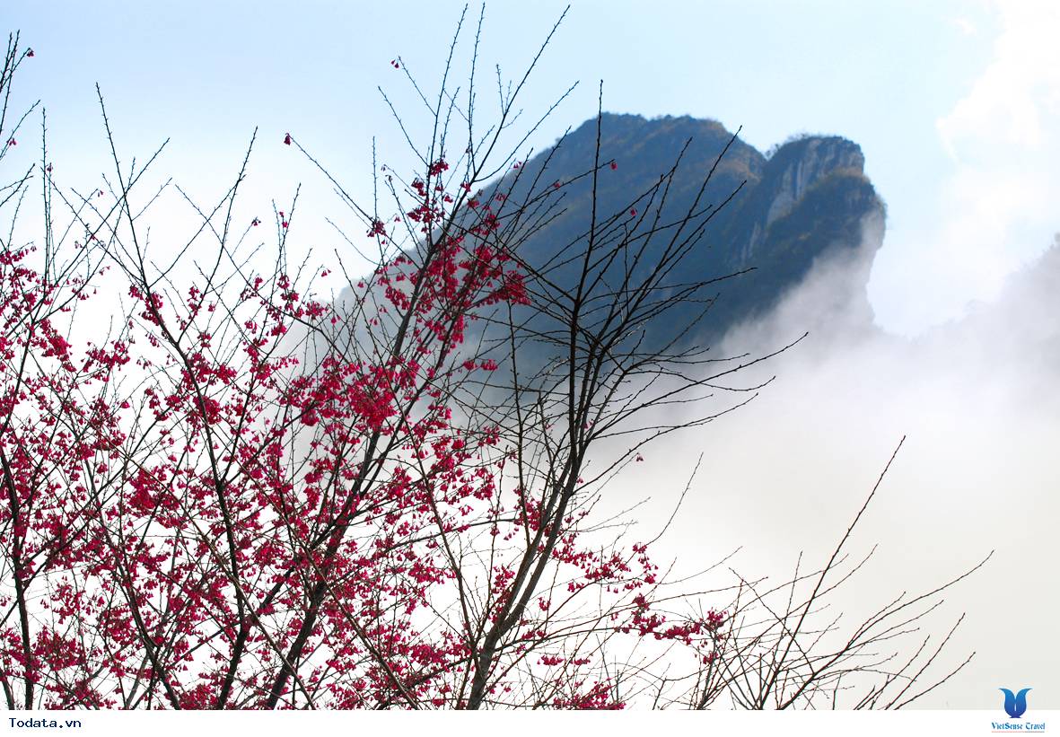 Chinh Phục Núi Hàm Rồng- Địa Danh Hấp Dẫn Bậc Nhất Sapa - Ảnh 4