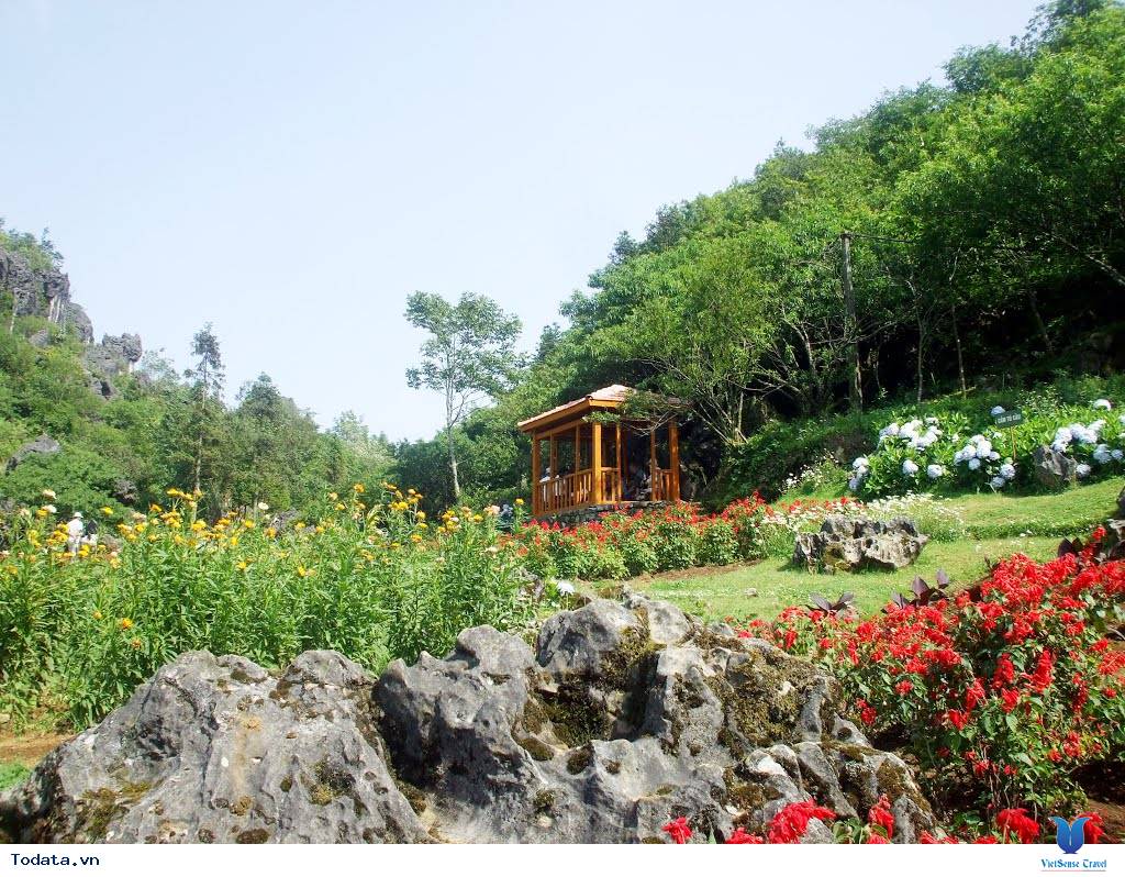 Chinh Phục Núi Hàm Rồng- Địa Danh Hấp Dẫn Bậc Nhất Sapa - Ảnh 9