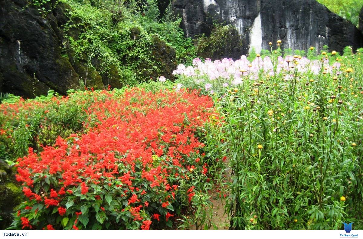 Chinh Phục Núi Hàm Rồng- Địa Danh Hấp Dẫn Bậc Nhất Sapa - Ảnh 7