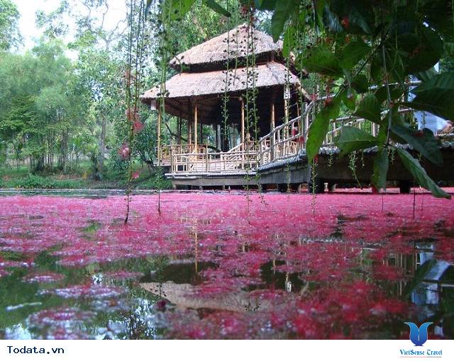 Chùa Từ Hiếu, ngôi cổ tự độc đáo bậc nhất xứ Huế - Ảnh 8 Chùa Từ Hiếu, ngôi cổ tự độc đáo bậc nhất xứ Huế - Ảnh 8