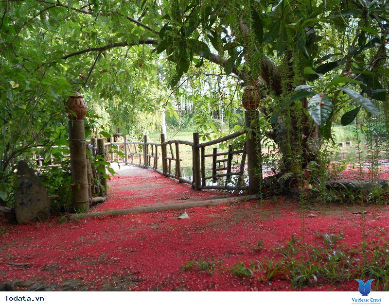 Chùa Từ Hiếu, ngôi cổ tự độc đáo bậc nhất xứ Huế - Ảnh 3 Chùa Từ Hiếu, ngôi cổ tự độc đáo bậc nhất xứ Huế - Ảnh 3