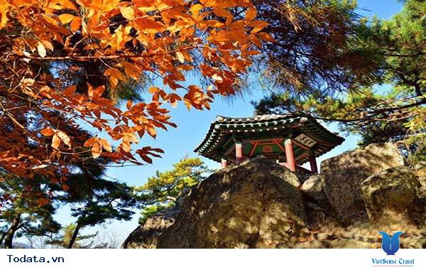 Chungcheong Nam - Cố đô nổi tiếng Hàn Quốc - Ảnh 1 Chungcheong Nam - Cố đô nổi tiếng Hàn Quốc - Ảnh 1