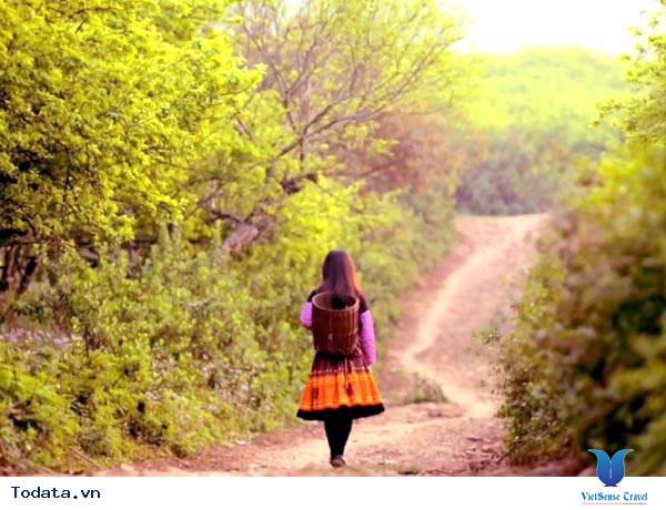 Chương Trình Xúc Tiến Du Lịch Về Miền Tây Bắc - Ảnh 1