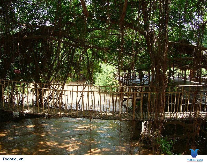 Có Một Buôn Đôn Huyền Thoại - Ảnh 6 Có Một Buôn Đôn Huyền Thoại - Ảnh 6