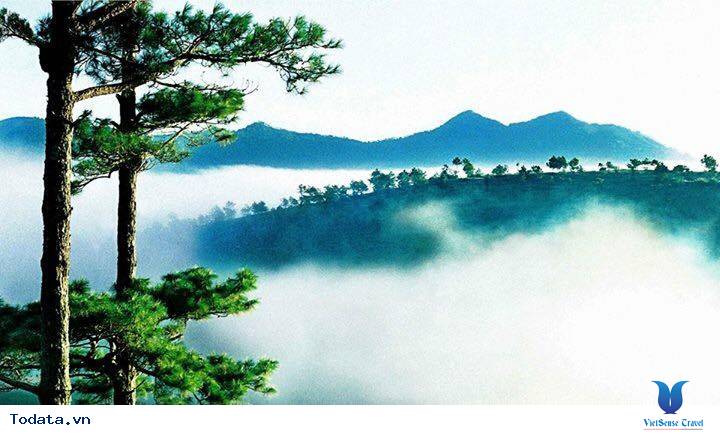 Có Một Langbiang Thơ Mộng - Ảnh 6