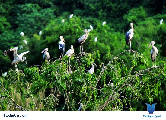 Có Một Thung Nham Hết Sức Yên Bình - Ảnh 8 Có Một Thung Nham Hết Sức Yên Bình - Ảnh 8