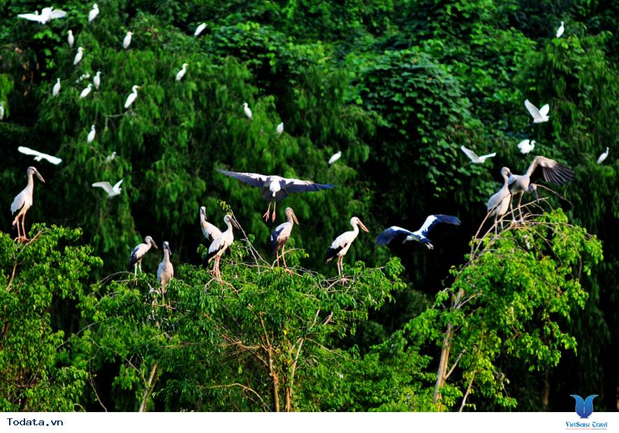 Có Một Thung Nham Hết Sức Yên Bình - Ảnh 3 Có Một Thung Nham Hết Sức Yên Bình - Ảnh 3