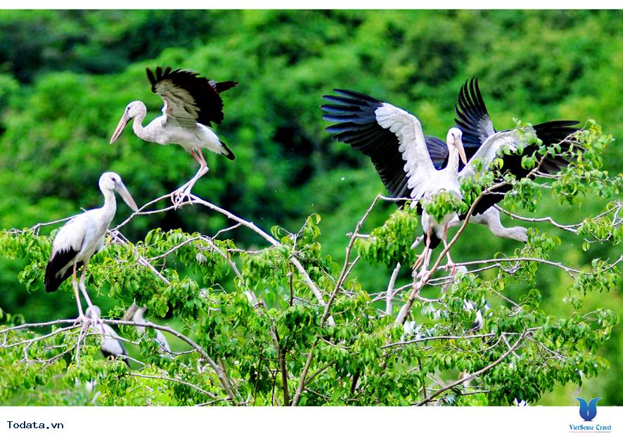 Có Một Thung Nham Hết Sức Yên Bình - Ảnh 5 Có Một Thung Nham Hết Sức Yên Bình - Ảnh 5