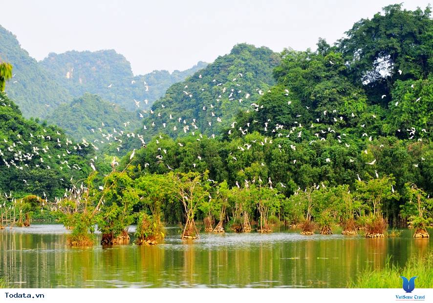 Có Một Thung Nham Hết Sức Yên Bình - Ảnh 7 Có Một Thung Nham Hết Sức Yên Bình - Ảnh 7