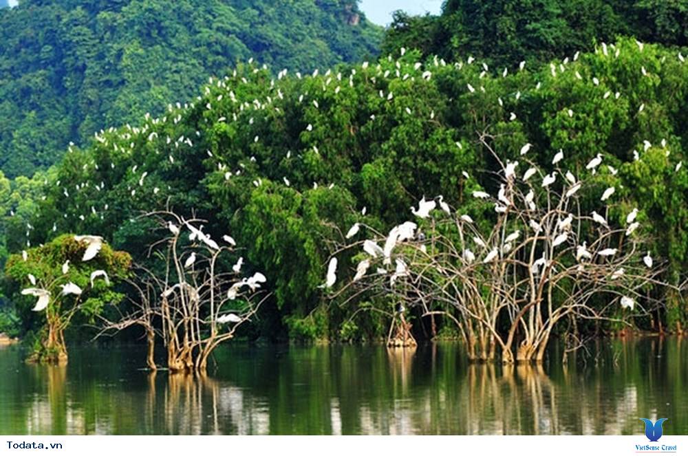 Có Một Thung Nham Hết Sức Yên Bình - Ảnh 1 Có Một Thung Nham Hết Sức Yên Bình - Ảnh 1