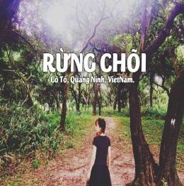 FREE & EASY ĐẢO NGỌC CÔ TÔ - Ảnh 4