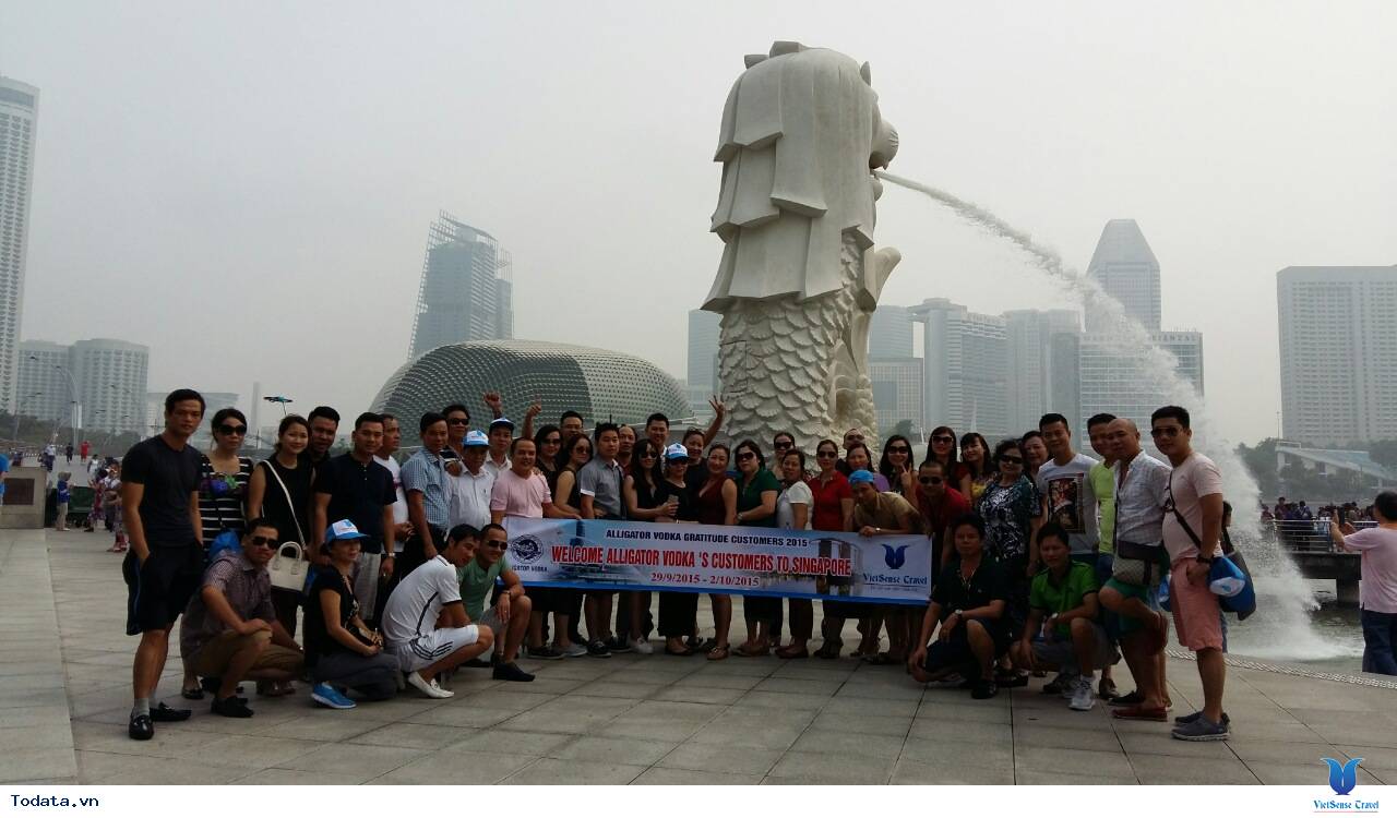 Công ty Alligator Vodka - Ảnh 1 Công ty Alligator Vodka - Ảnh 1