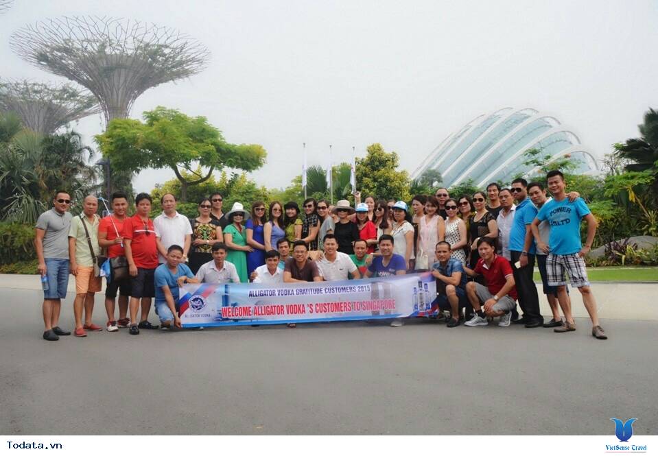 Công ty Alligator Vodka - Ảnh 2 Công ty Alligator Vodka - Ảnh 2