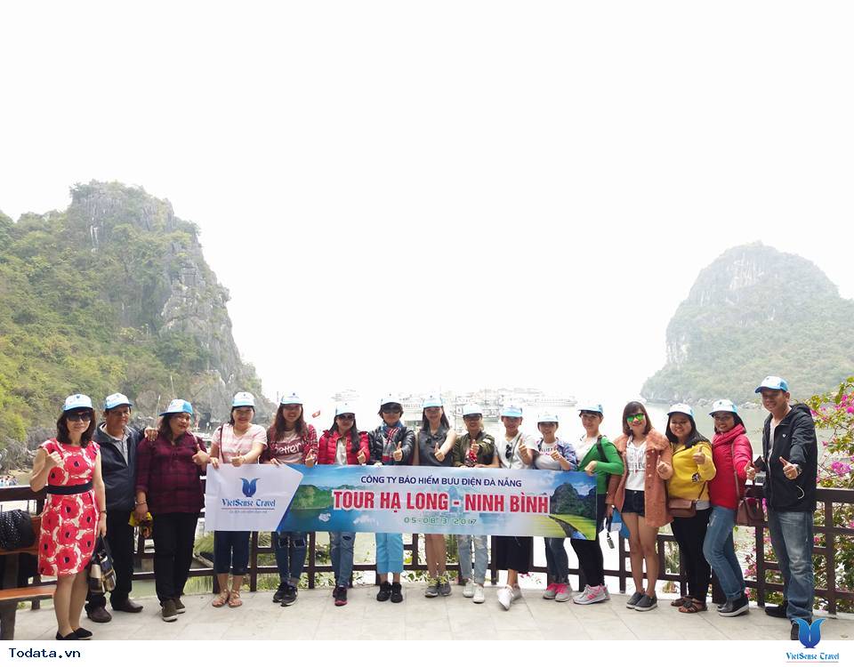 Công ty Bảo hiểm Bưu điện Đà Nẵng - Ảnh 1