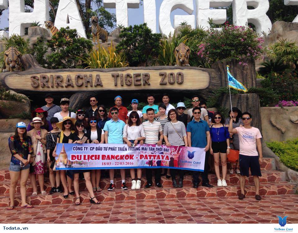 Công ty Cổ phần Đầu tư và Phát triển Tân Thời Đại - Ảnh 3