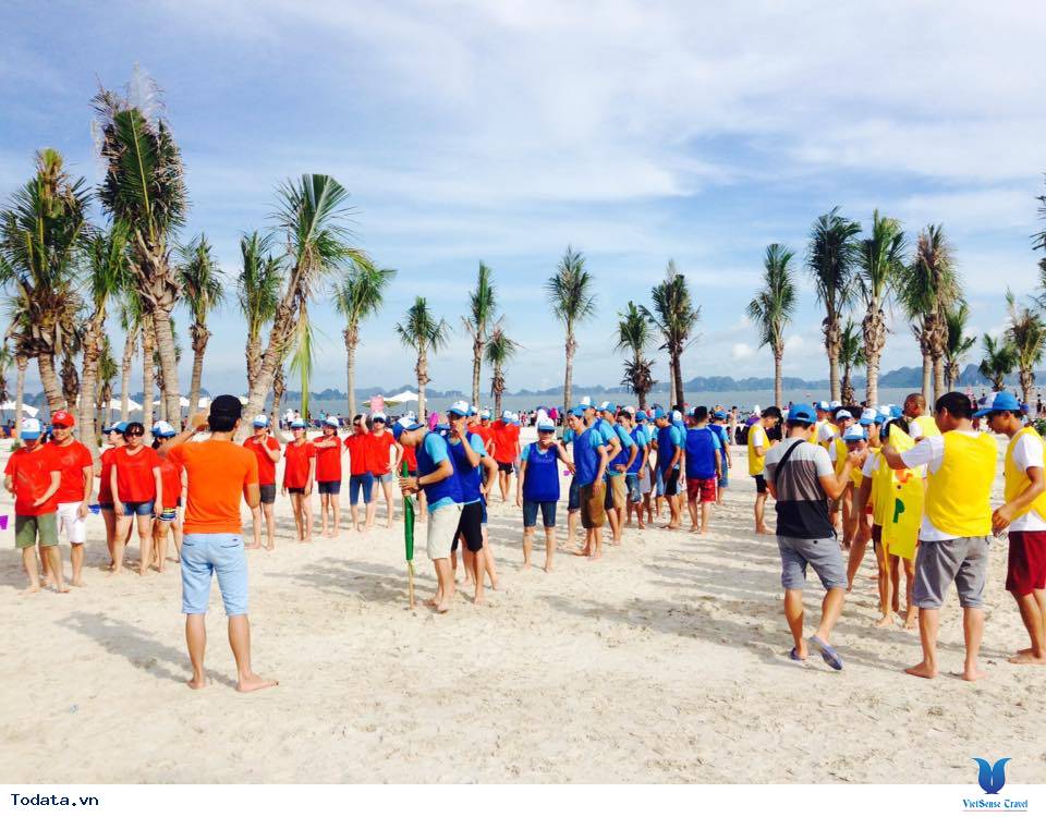 Công ty Cổ phần G&P - Mama sữa non - Ảnh 2